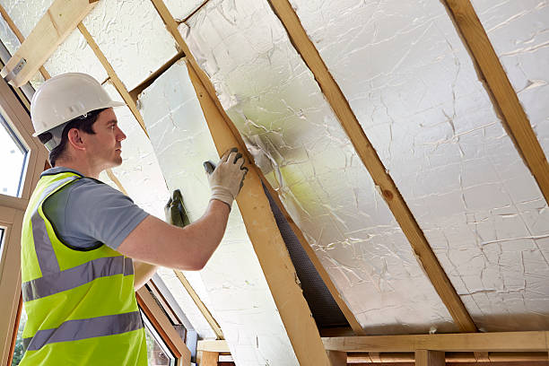 Best Insulation Replacement Services  in Canton Valley, CT